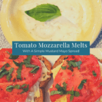 tomato mozzarella melt