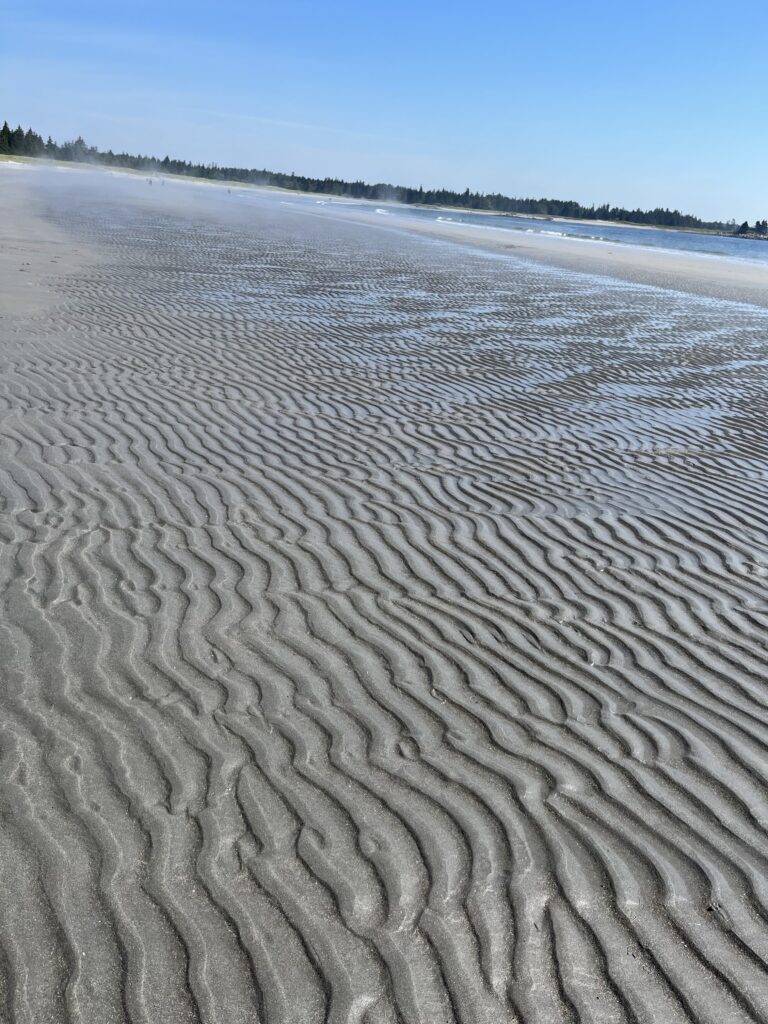 Beach Meadows Nova Scotia