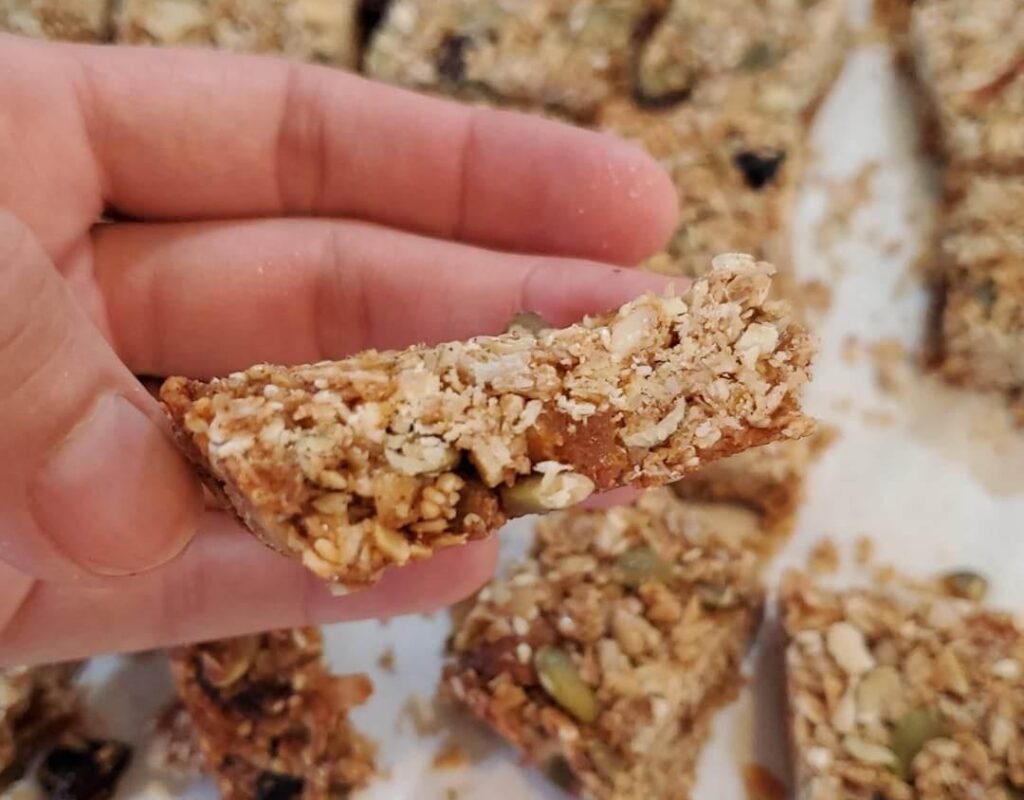 granola-bars-seed-energy-protein-fibre-bar-healthy