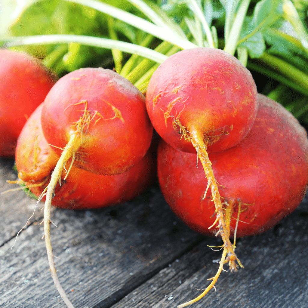 roasted-golden-beets