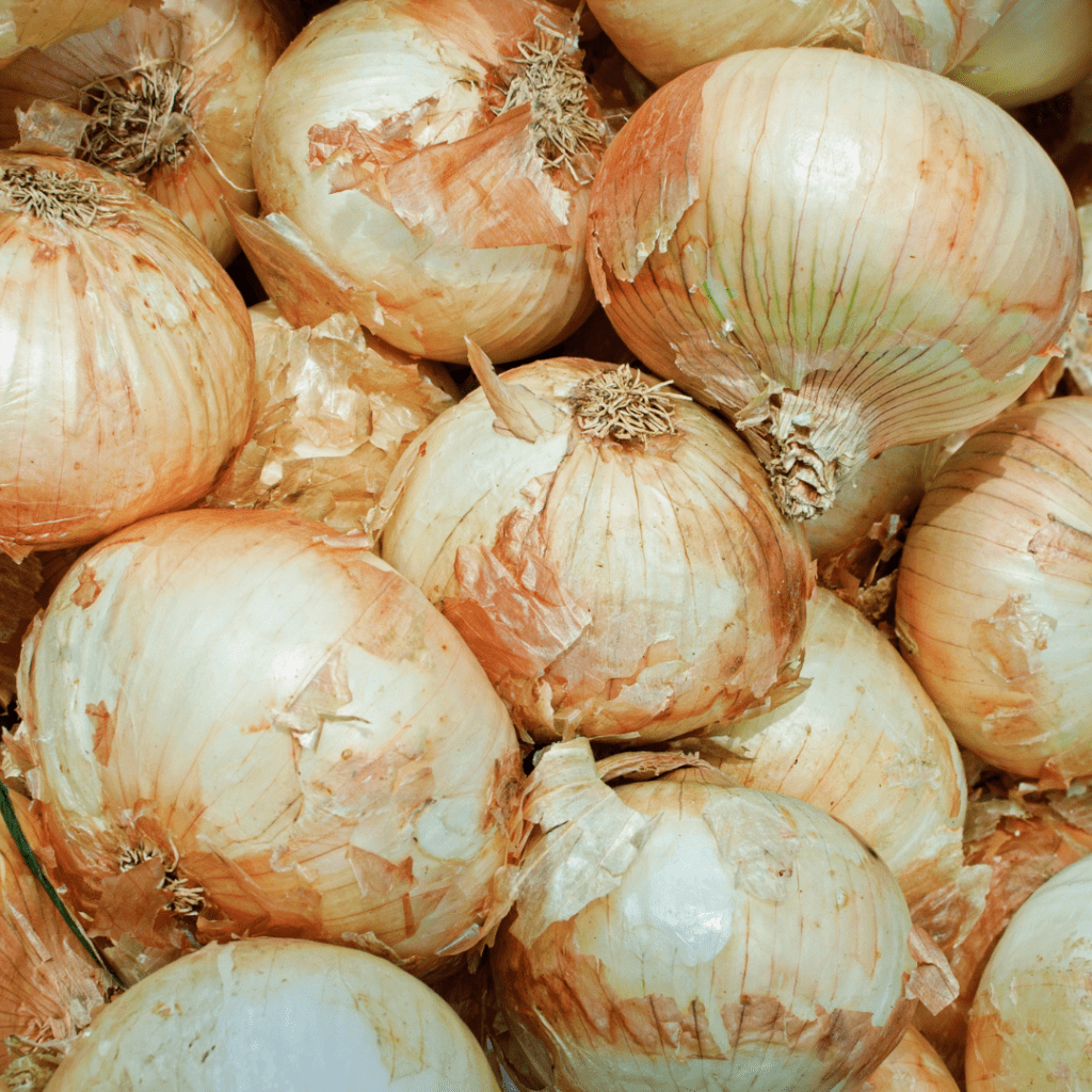 vidalia-onions-simplywanderfull-french-onion-soup