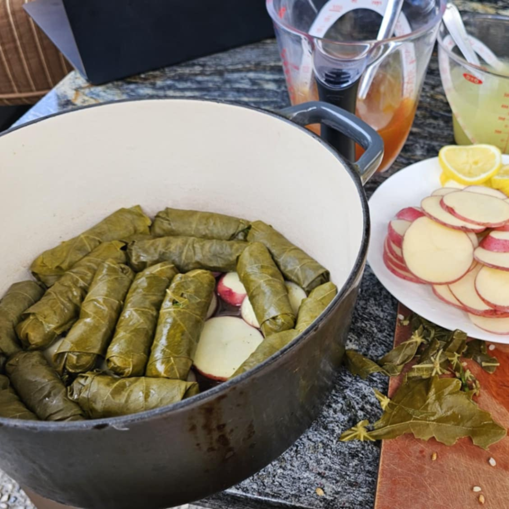 grape-leaves-simplywanderfull