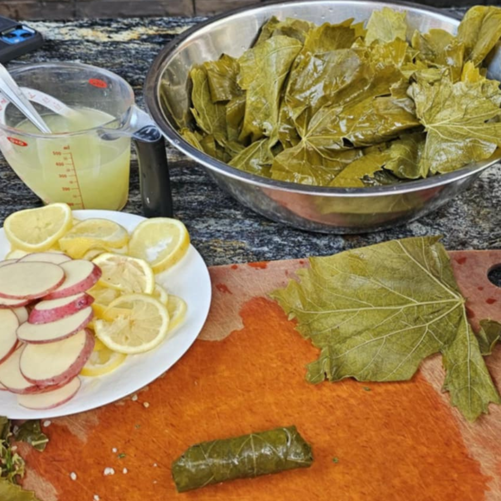 grape-leaves-simplywanderfull