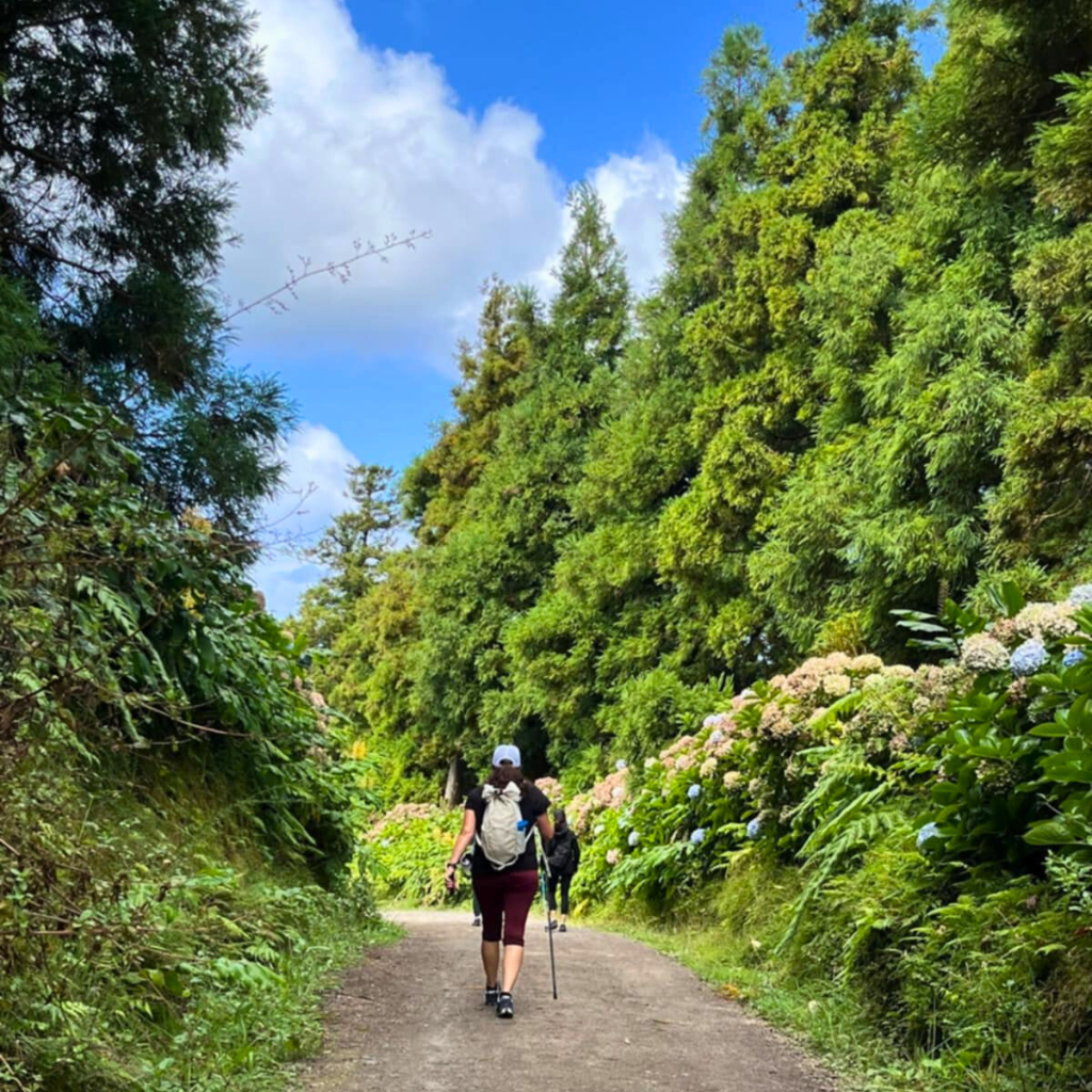 azores-vista-do-rei-simplywanderfull