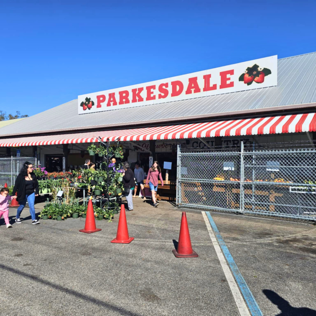 parksdale-market-plant-city-florida