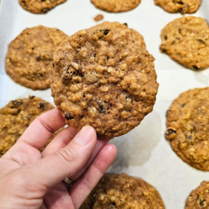 oatmeal-raisin-cookie