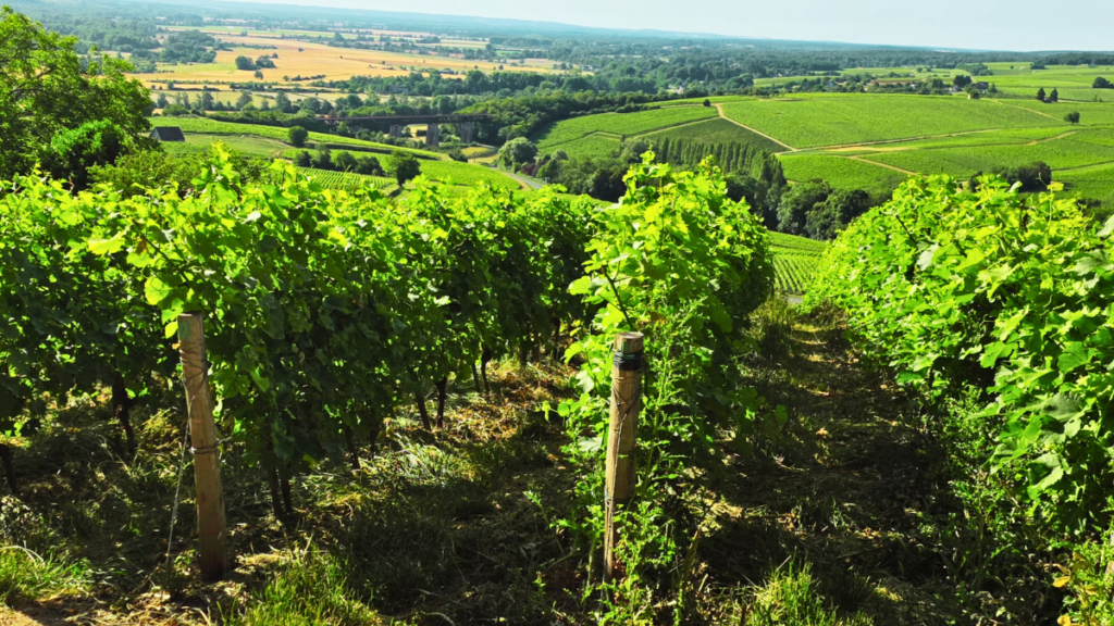 Loire-valley-bike-vacation-simplywanderfull
