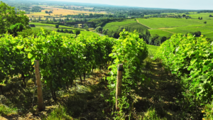 Loire-valley-bike-vacation-simplywanderfull