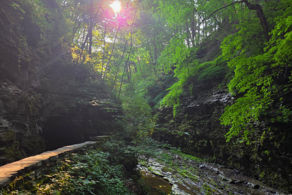 watkins-glen-finger-lakes-simplywanderfull