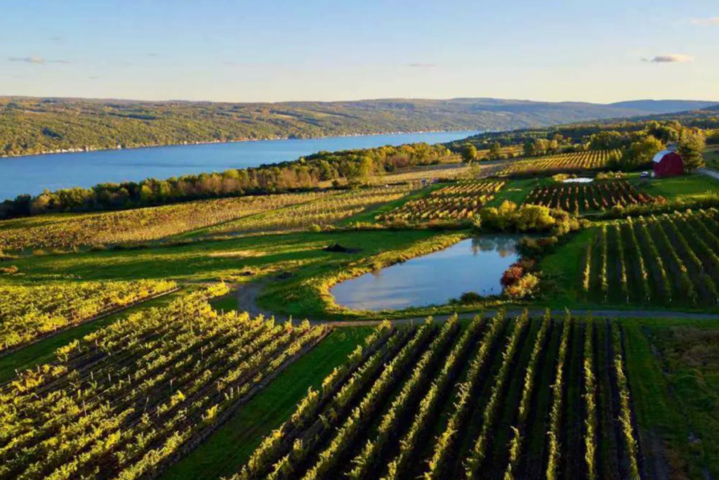 finger-lakes-image-landscape-simplywanderfull