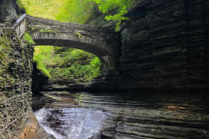 finger-lakes-newyork-upstate-new-york-watkins-glen-state-park