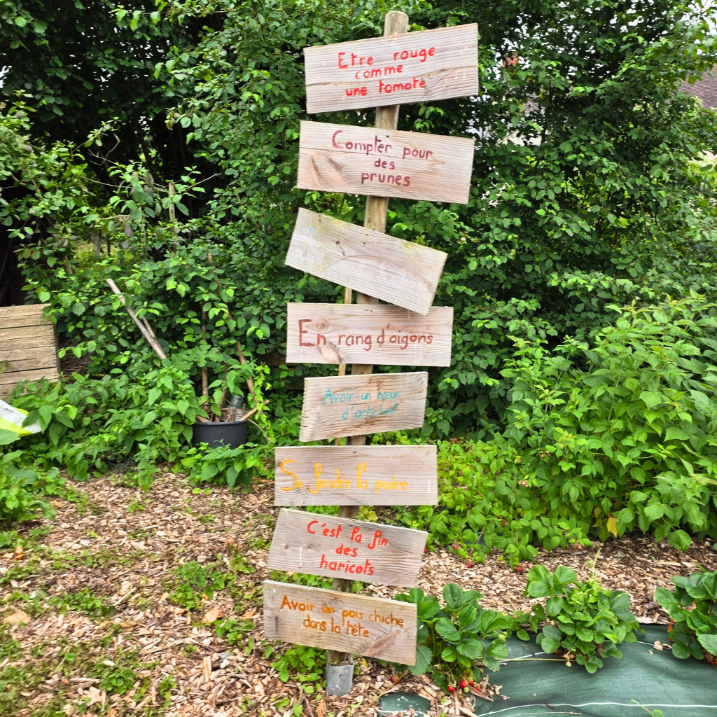 la-grange-faire-cooking-scholl-loire-valley-ebiking-simplywanderfull-cooking-class-france-the-best