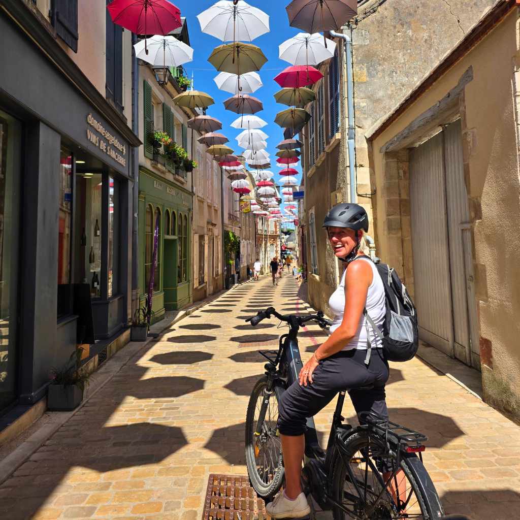 simplywanderfull-sancerre-pouilly-fume-ebiking-vineyards-wine-sauvignon-blanc-france