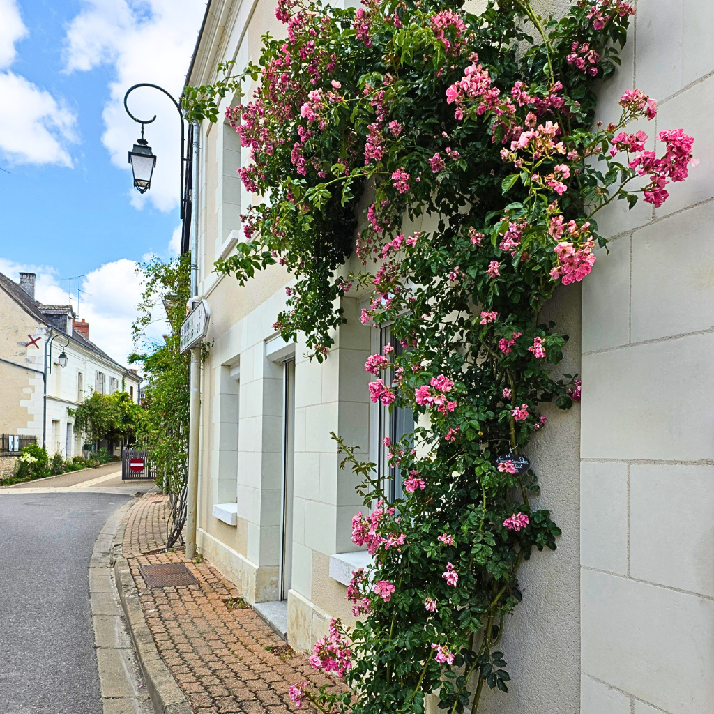 pea-veloute-simplywanderfull-chedigny-picturesque-village-france-lunch-flowers-roses