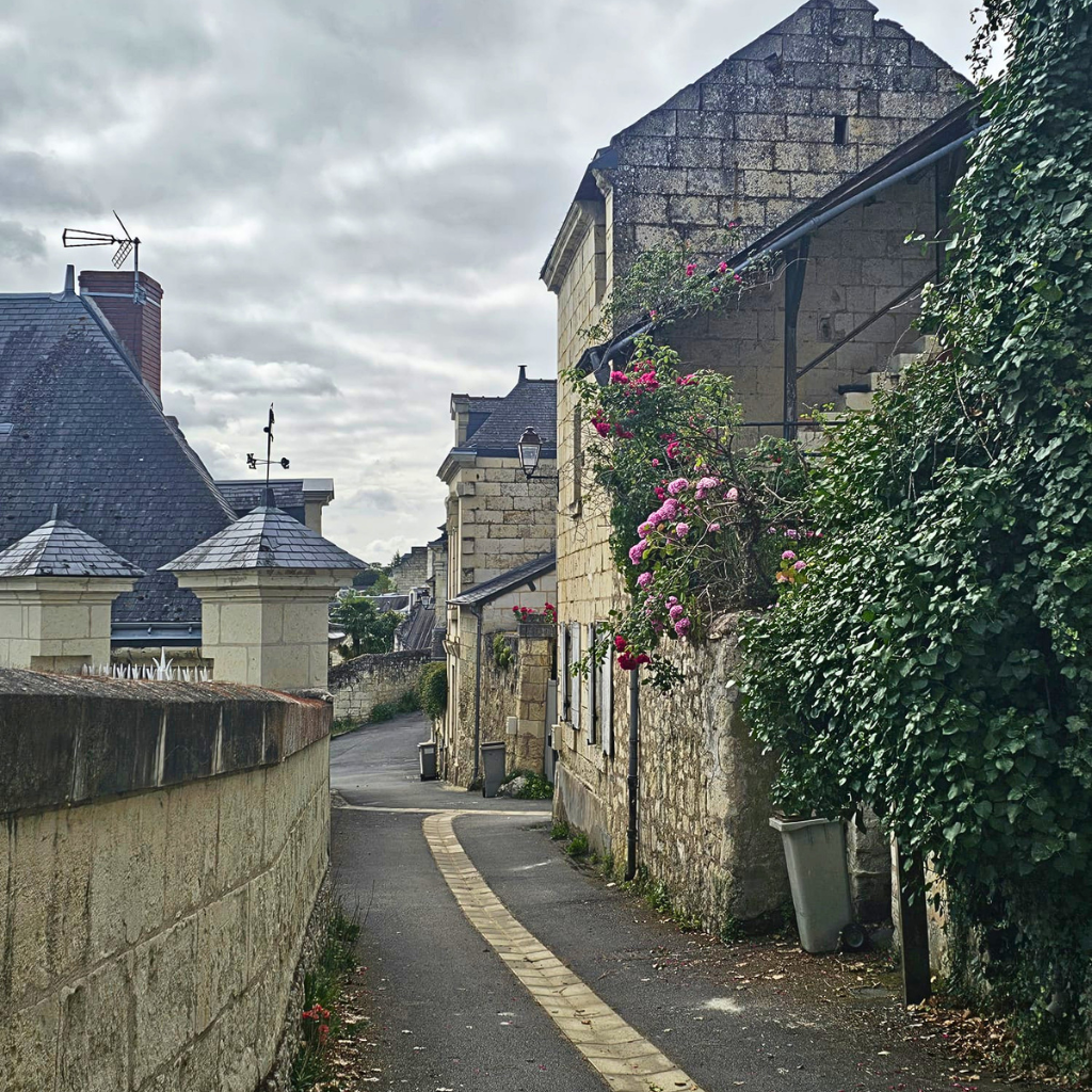 turquant-france-simplywanderfull-ebiking-loire-adventure